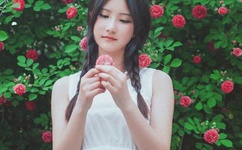 野花直播视频免费高清完整版